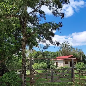 https://stio-da-figueira-novo.santa-catarina-brasil.com
